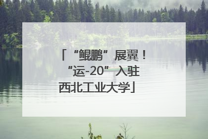 “鲲鹏”展翼！“运-20”入驻西北工业大学